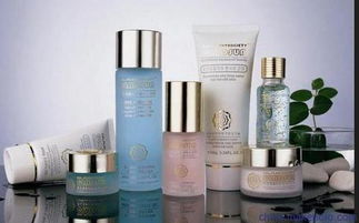 上海伯斯卡國際貨物運輸代理公司 一站式進口化妝品、食品與家具清關服務